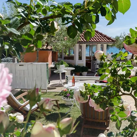 Ivanka On The Vodice